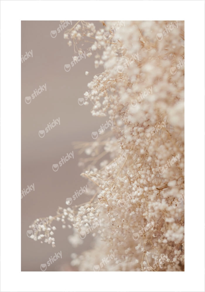 Πόστερ BLURRED WHITE FLOWERS