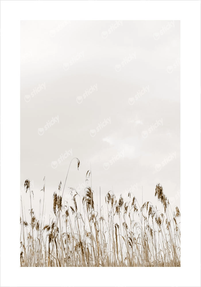 Πόστερ MINIMAL NATURE