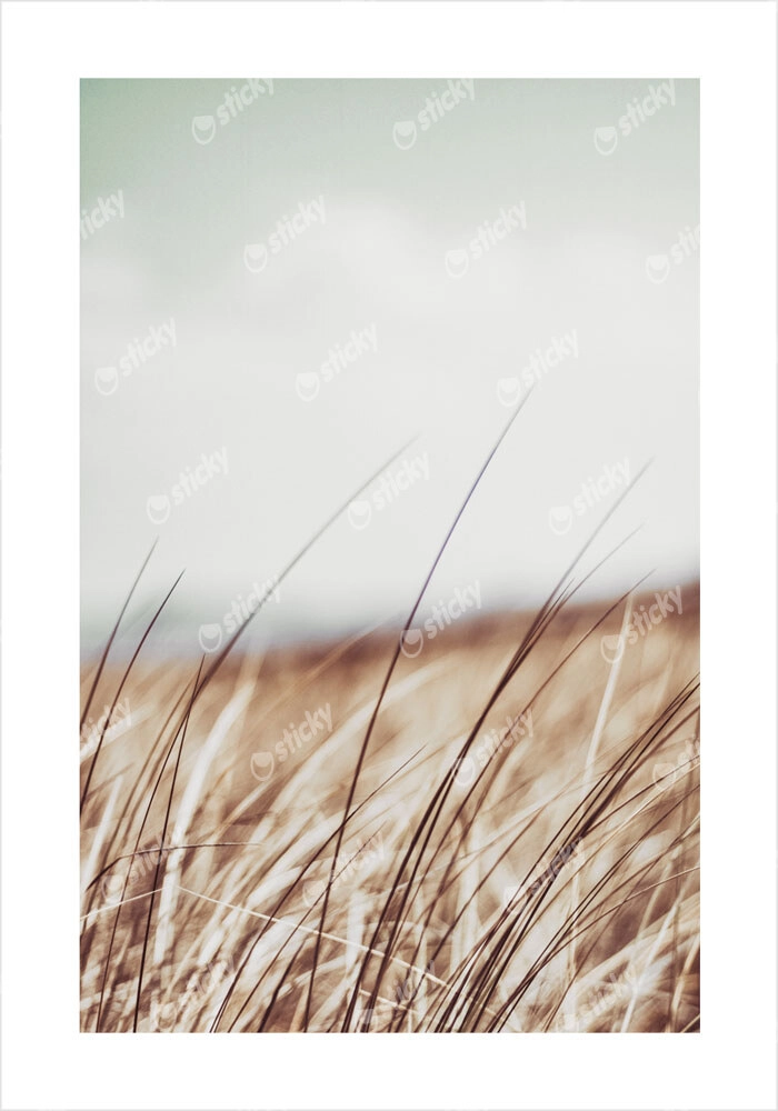 Πόστερ BLUR FIELD