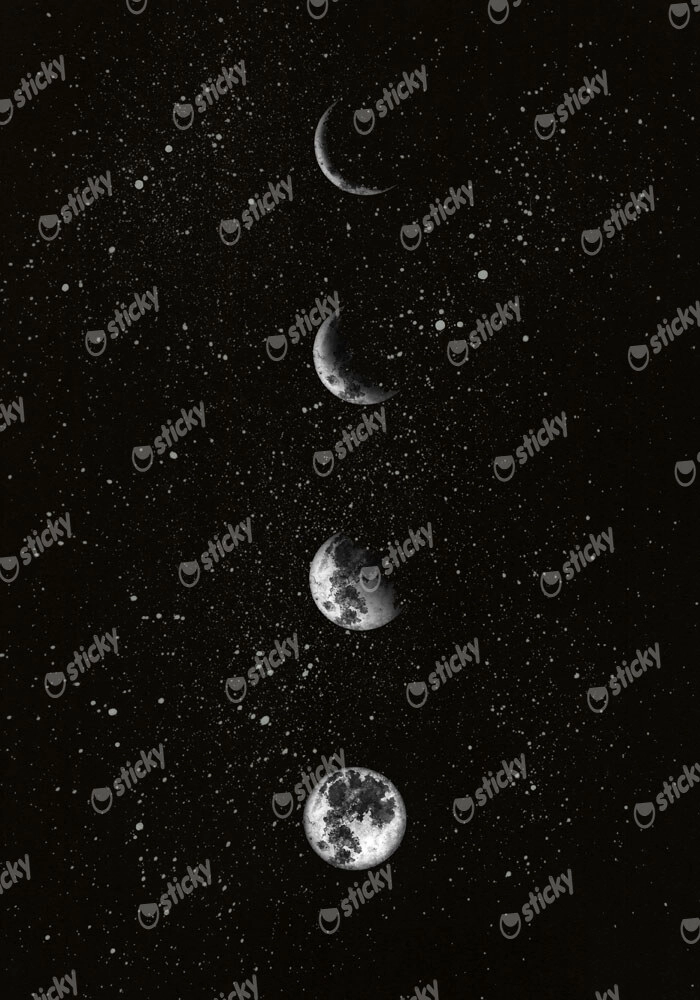 Πόστερ MOON PHASES