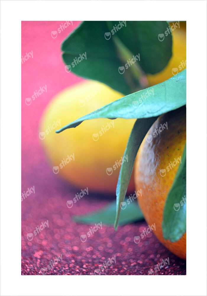 Πόστερ CITRUS ON PURPLE