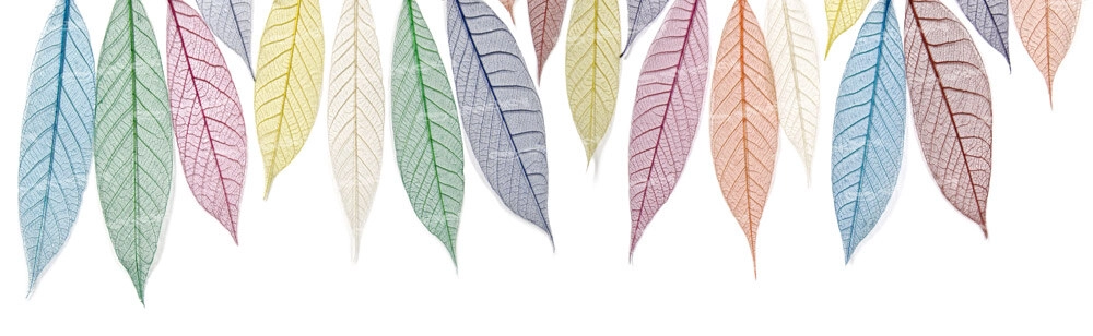 Πίνακας σε καμβά Πανοραμικός COLORFUL LEAVES