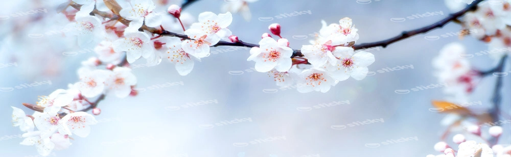Πίνακας Πανοραμικός FLOWERS