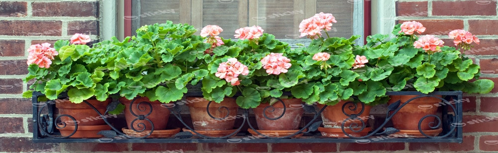 Πίνακας Πανοραμικός POTS