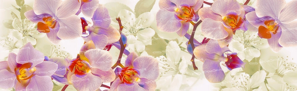 Πίνακας Πανοραμικός σε καμβά FLOWERING ORCHIDS AND CHERRIES