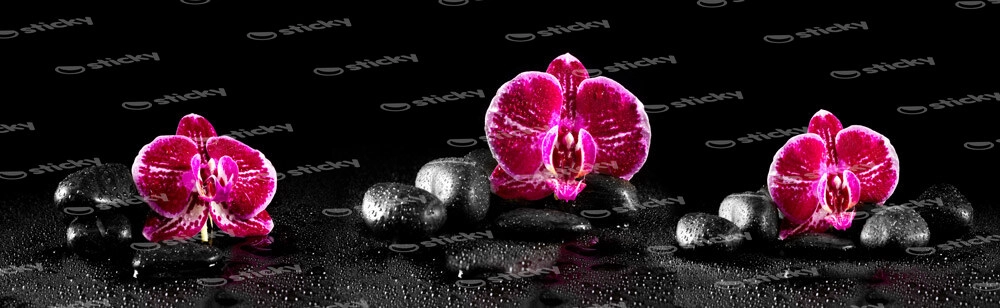 Πίνακας Πανοραμικός PINK ORCHIDS