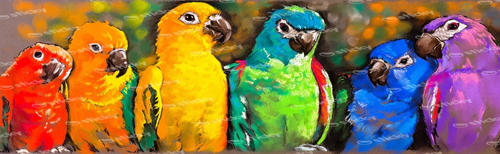 Πίνακας Πανοραμικός COLORFUL PARROTS