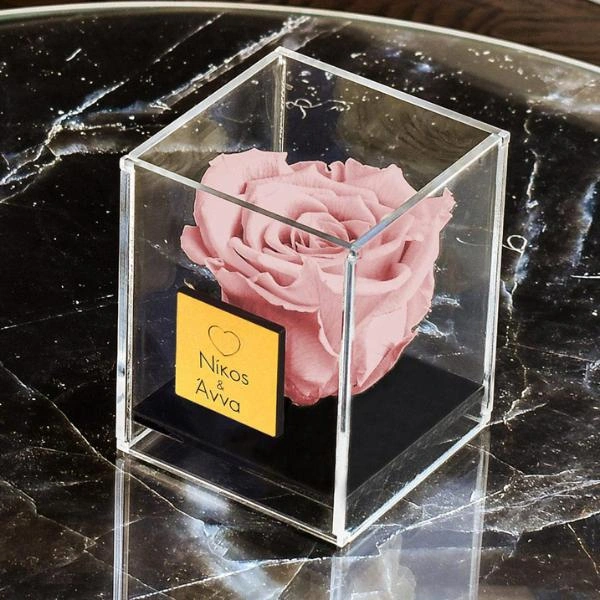 Παντοτινό Τριαντάφυλλο Αγίου Βαλεντίνου σε ροζ. Το τέλειο δώρο για γυναίκα
        loading=