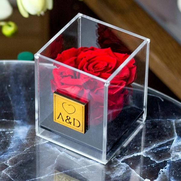 Παντοτινό Τριαντάφυλλο Αγίου Βαλεντίνου σε κόκκινο
        loading=