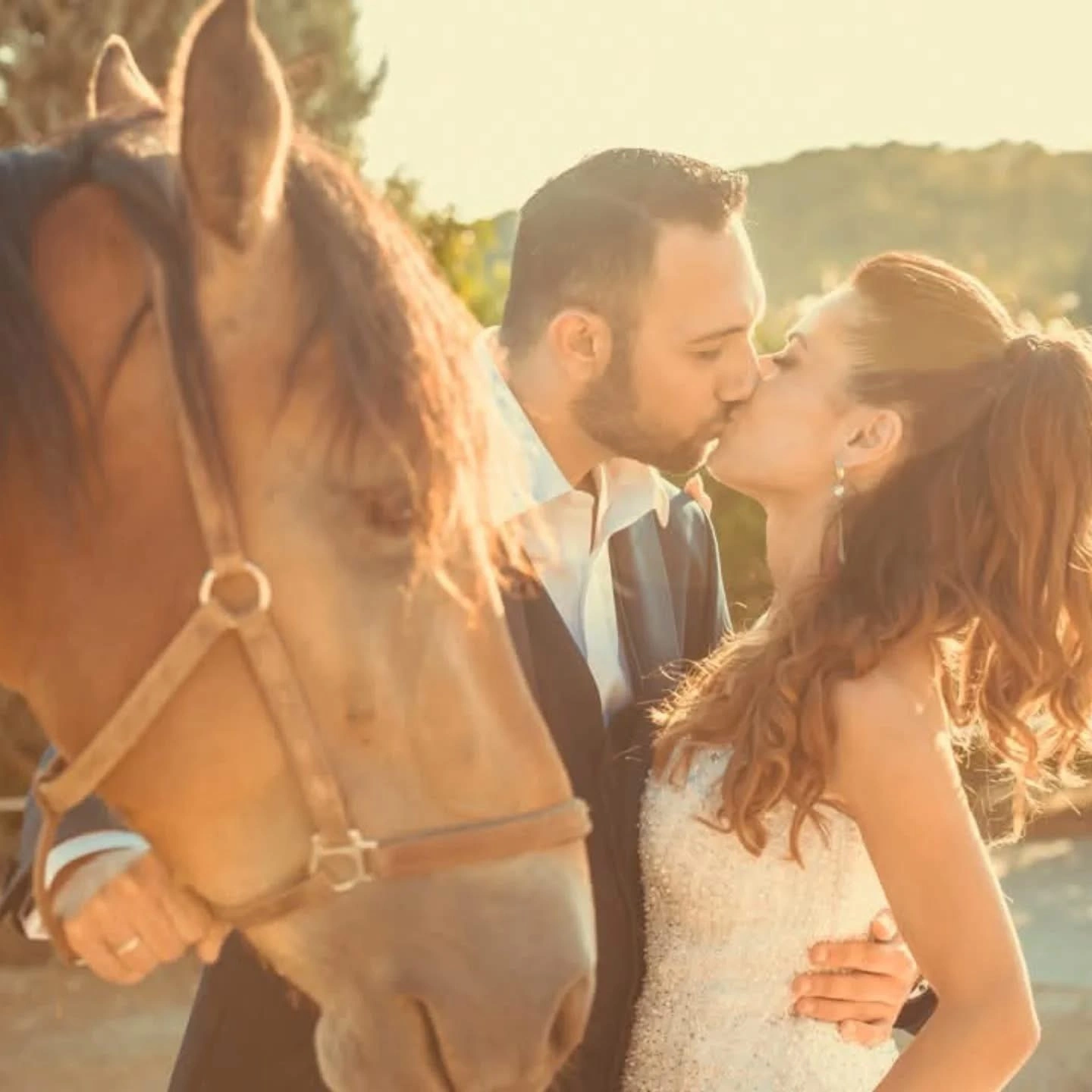 Ζευγάρι φιλιέται δίπλα σε άλογο σε ρομαντική φωτογράφιση γάμου από την Wedding Stars