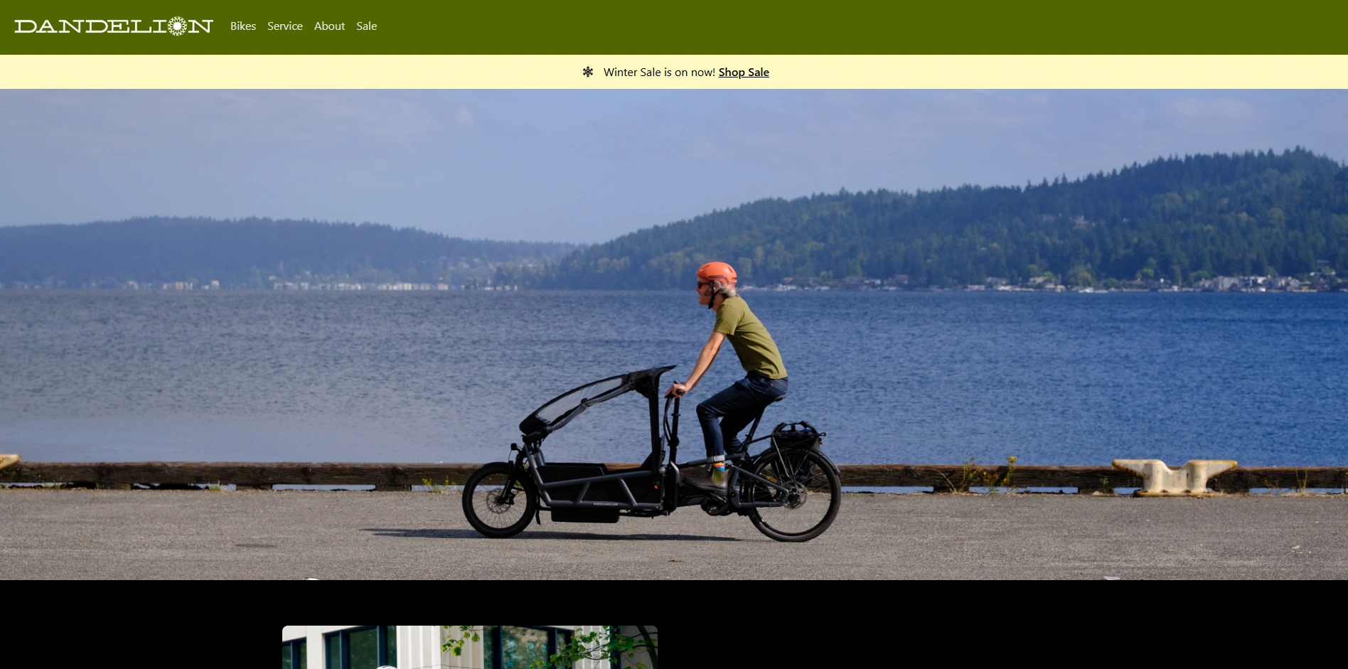 Dandelion Bikes — Full-Stack Headless WordPress Development with React Frontend for a Modern E-Bike Retail Platform