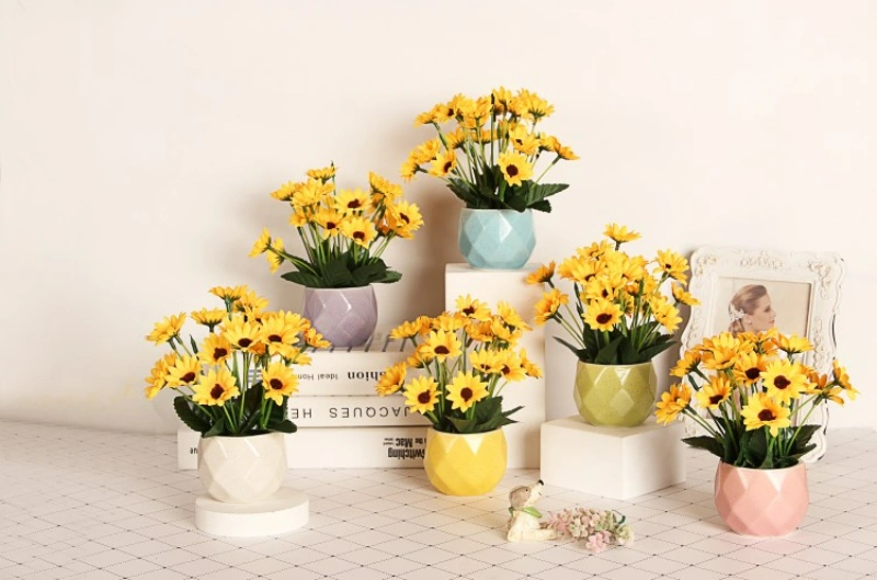Potted Sunflower
