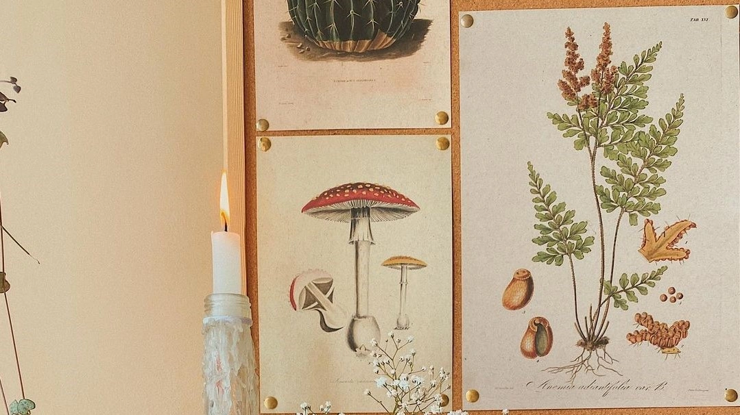 Cottagecore Room Ideas