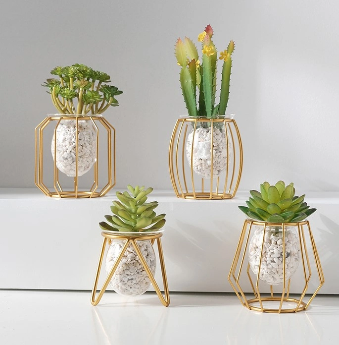 Gold Metal Frame with Glass Plant Pot | The Other Aesthetic